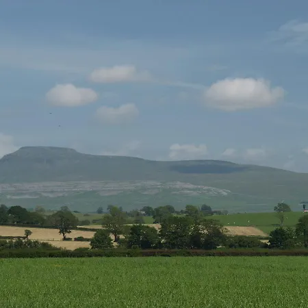 Rose 住宿加早餐酒店 3*