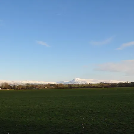 ベッド・アンド・ブレックファスト Rose