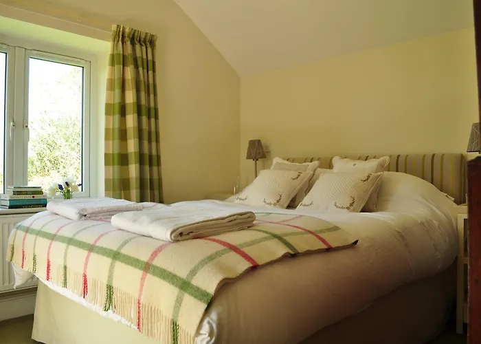 Couette-café Rose 3*